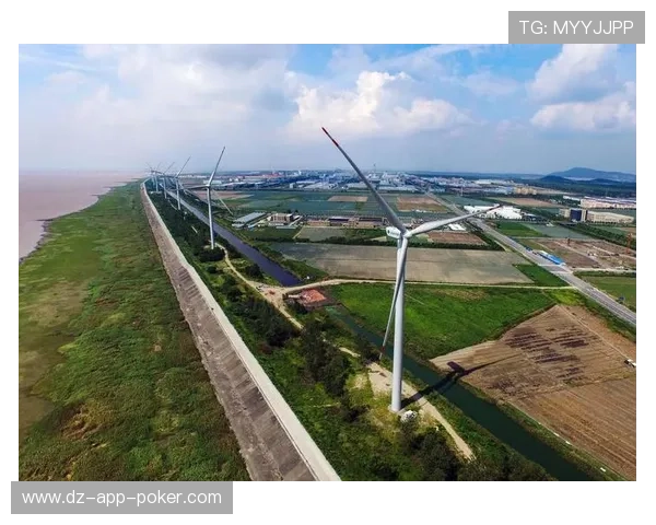 可持续运营倡议：意甲球场推广环保措施